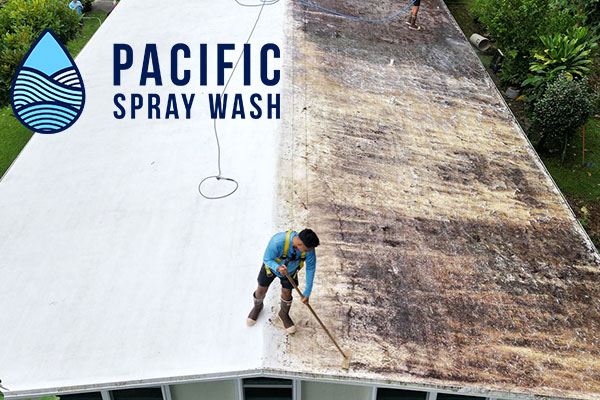 image of cleaning tech washing a roof